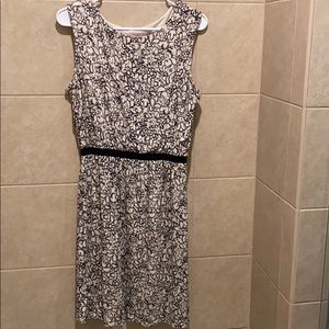 Loft black and white knee length dress